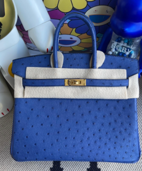 에르메스 버킨백25 그리스블루 금장 타조가죽